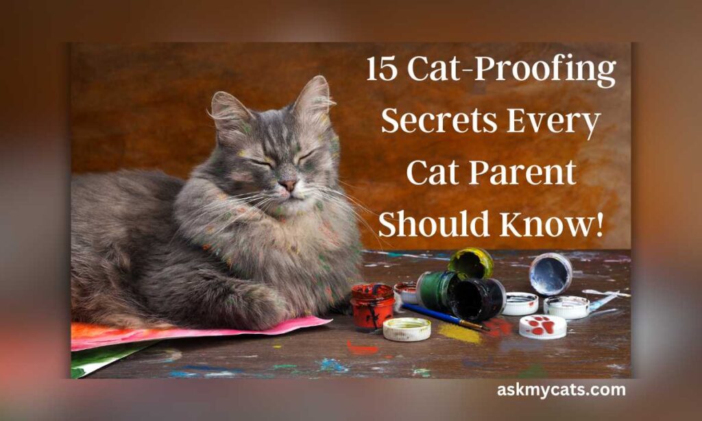 15 Cat Proofing Secrets Every Cat Parent Should Know