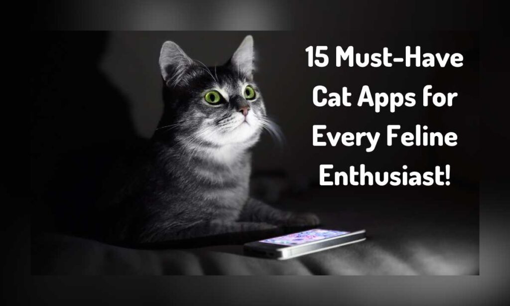 15 Must-Have Cat Apps for Every Feline Enthusiast!