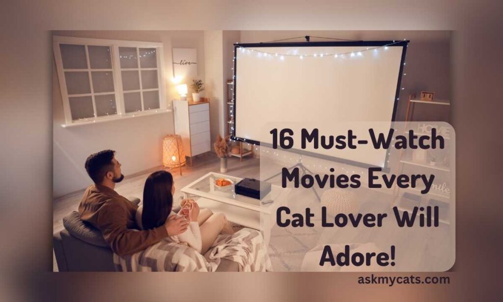 16 Must Watch Movies Every Cat Lover Will Adore