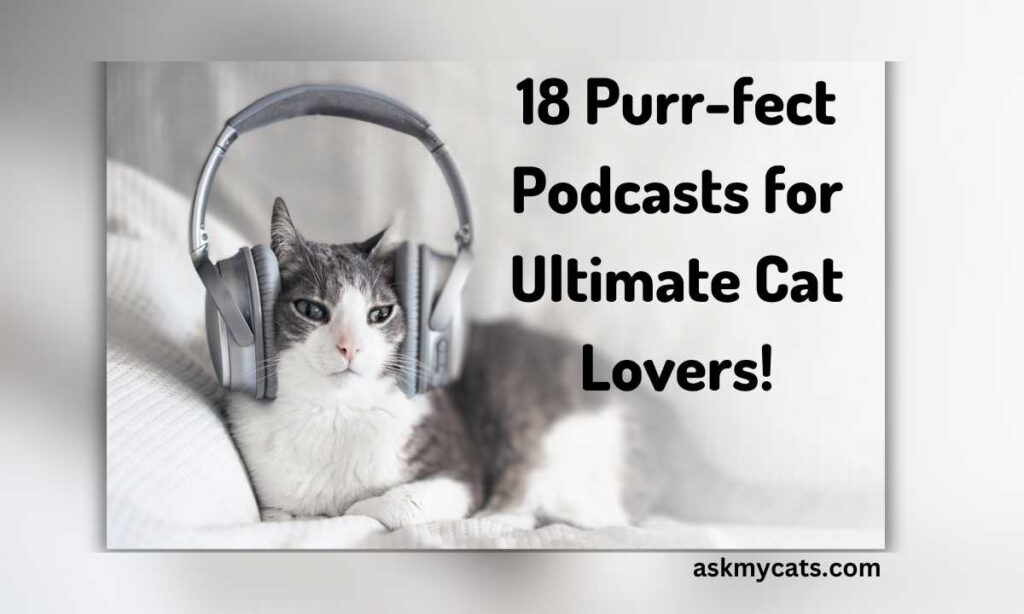 18 Purr fect Podcasts for Ultimate Cat Lovers