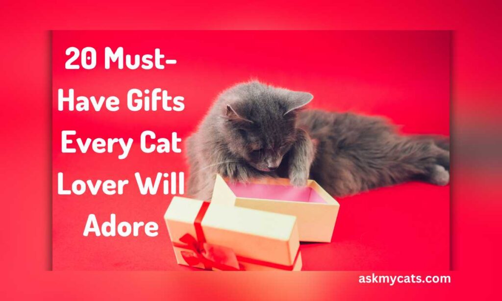 20 Must Have Gifts Every Cat Lover Will Adore