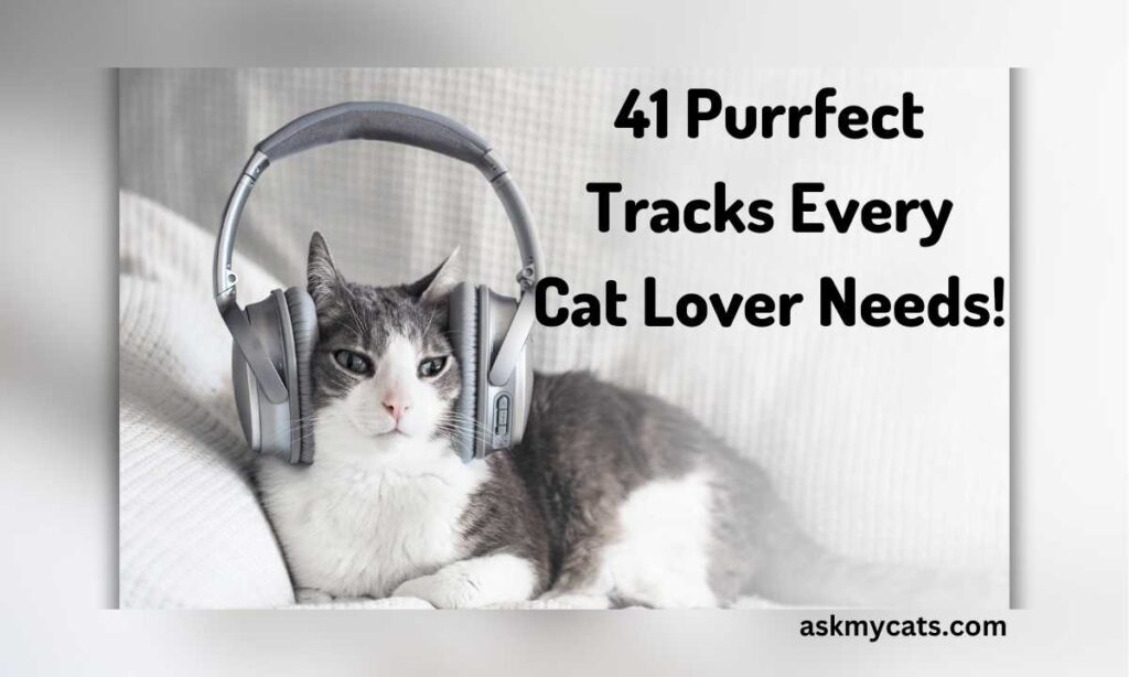 41 Purrfect Tracks Every Cat Lover Needs