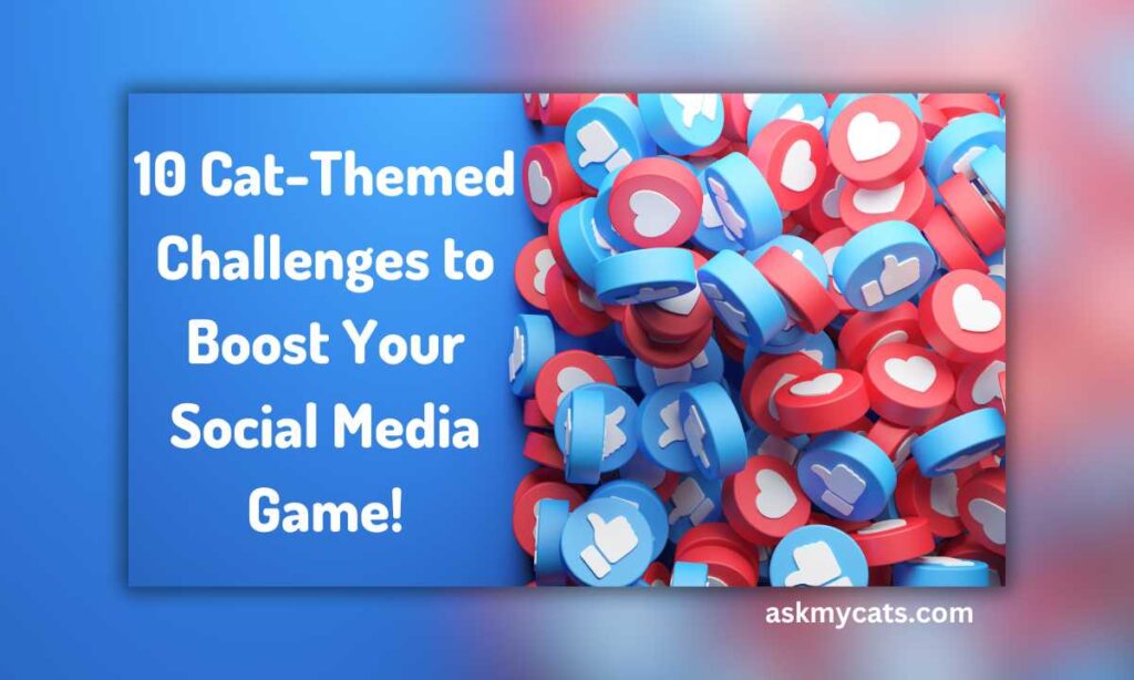 10 Cat Themed Challenges to Boost Your Social Media Game