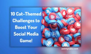 10 Cat-Themed Challenges to Boost Your Social Media Game!