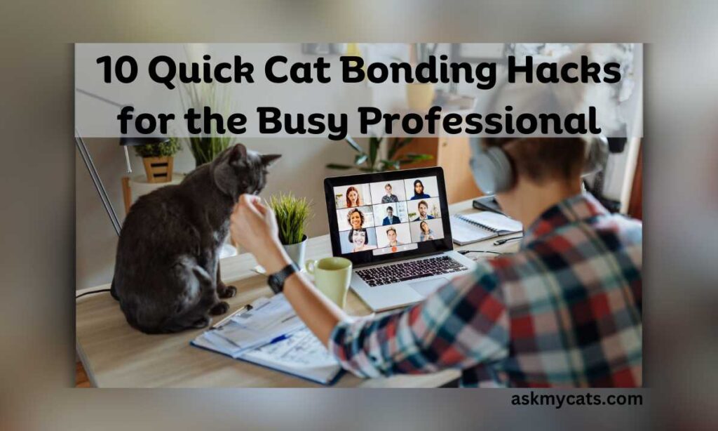 10 Quick Cat Bonding Hacks for the Busy Professional