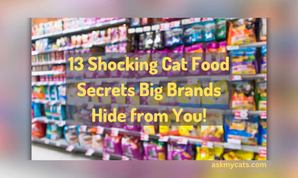 13 Shocking Cat Food Secrets Big Brands Hide from You