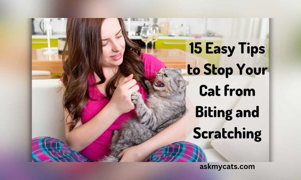 15 Easy Tips to Stop Your Cat from Biting and Scratching