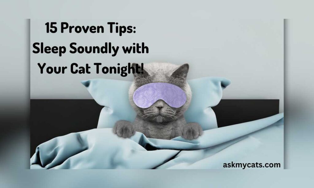 15 Proven Tips Sleep Soundly with Your Cat Tonight