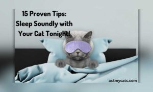 15 Proven Tips: Sleep Soundly with Your Cat Tonight!
