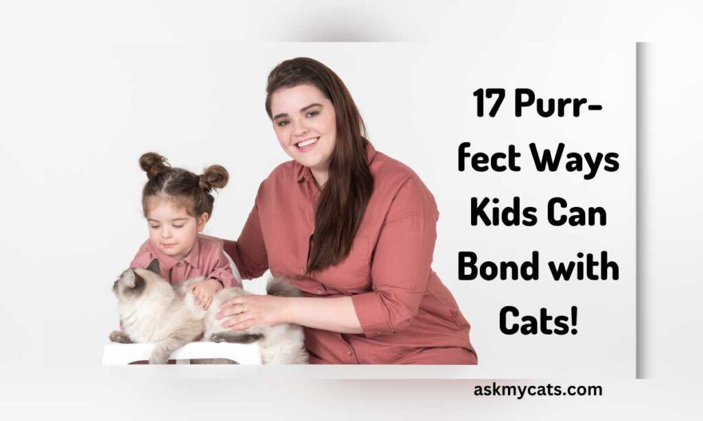 17 Purr fect Ways Kids Can Bond with Cats