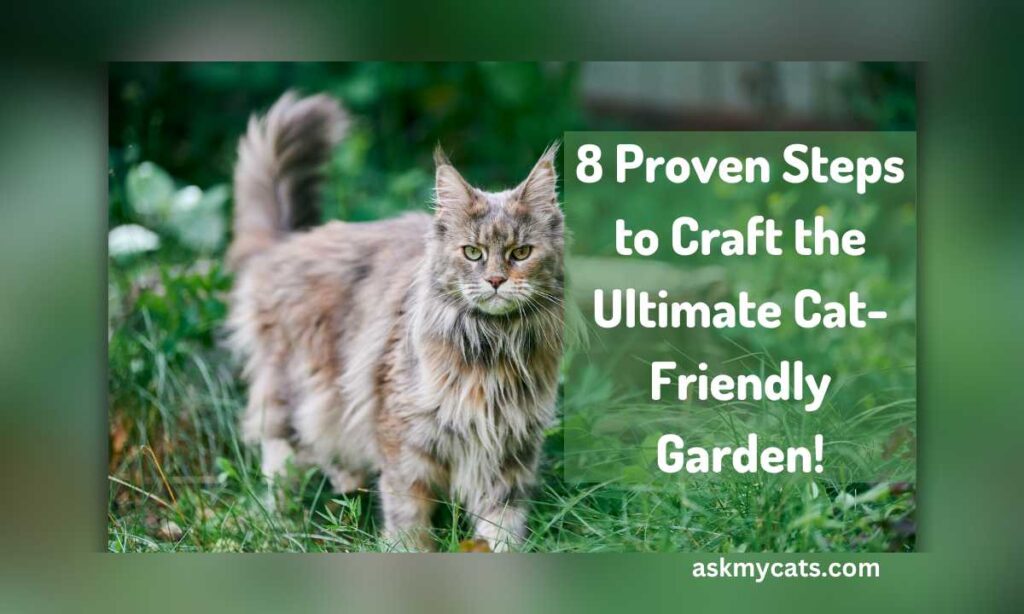 8 Proven Steps to Craft the Ultimate Cat Friendly Garden