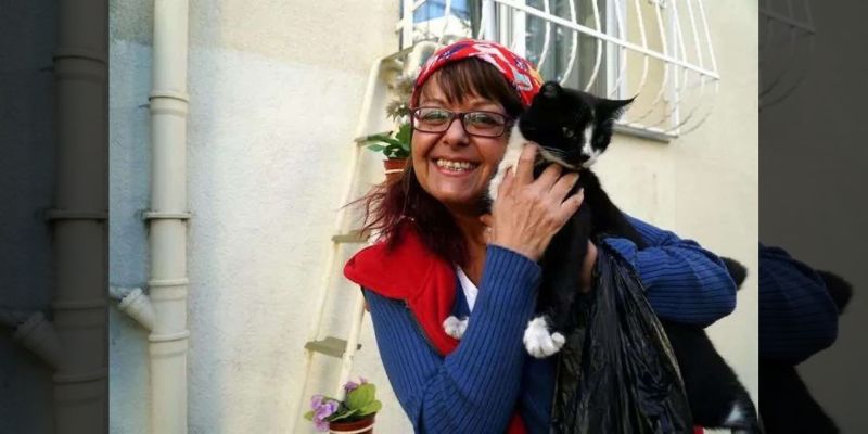This Woman Builds A ‘Cat Ladder To Her Home To Save Stray Cats From The Cold 4