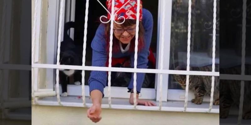 This Woman Builds A ‘Cat Ladder To Her Home To Save Stray Cats From The Cold 5