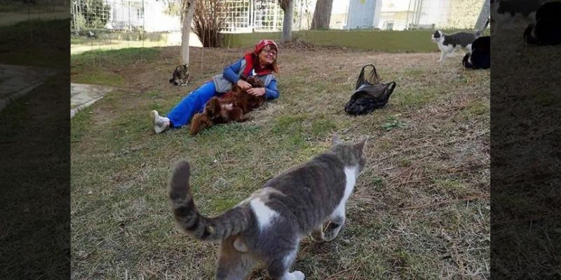 This Woman Builds A ‘Cat Ladder To Her Home To Save Stray Cats From The Cold 6