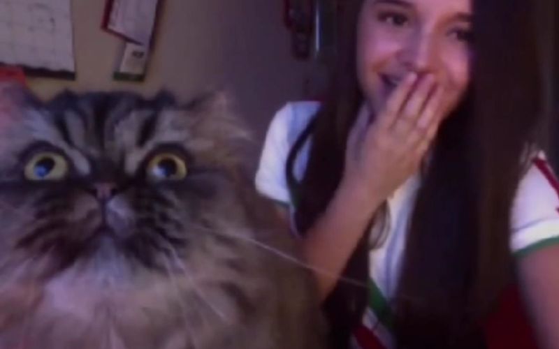 Cat Interrupts Owners Opera Singing And Their Video Goes Viral In An Instant 1