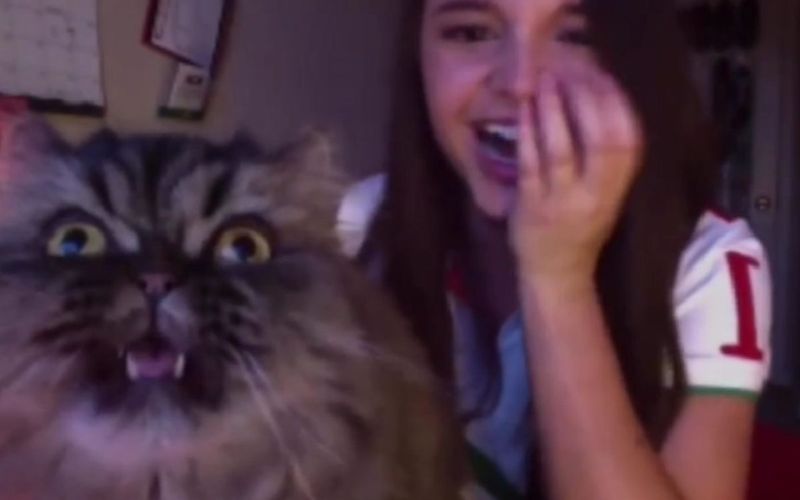 Cat Interrupts Owners Opera Singing And Their Video Goes Viral In An Instant 2