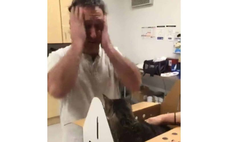 Cat Missing For 7 Years Finally Reunites With His Forever Hooman 1