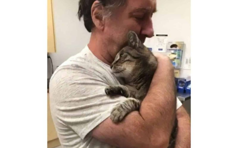 Cat Missing For 7 Years Finally Reunites With His Forever Hooman 2