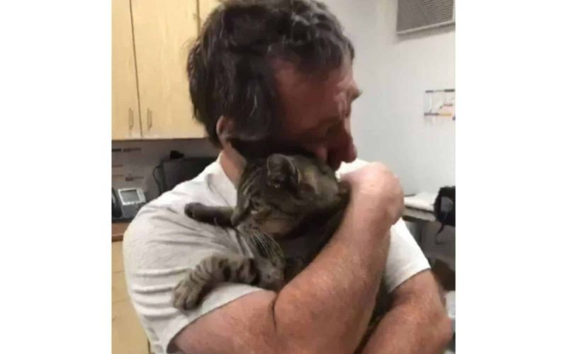 Cat Missing For 7 Years Finally Reunites With His Forever Hooman 3