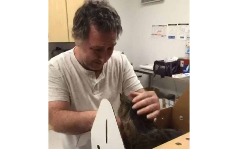 Cat Missing For 7 Years Finally Reunites With His Forever Hooman 4