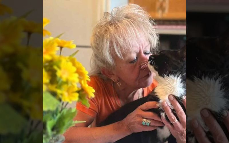 Family Reunites with Missing Cat After 2 Years and a 1000-Mile Journey