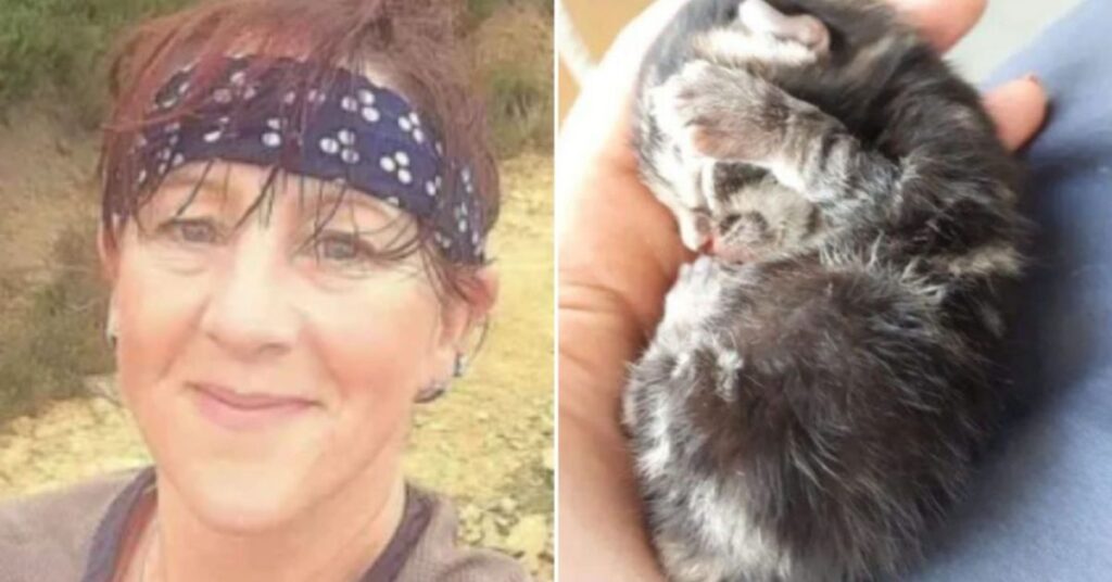Woman Shocked After Catching A Newborn Kitten Fallin From The Sky