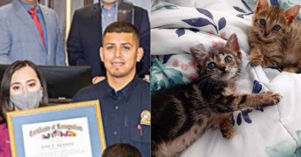 Animal Control Officer Praised For Saving 45 Cats From A Fire At The ...