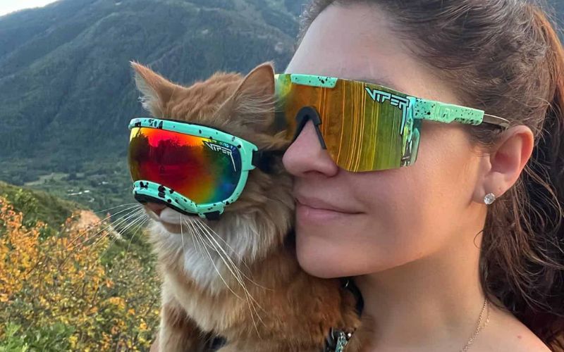 From Skiing To Swimming This Adventurous Kitty Is A True Sports Aficionado 5